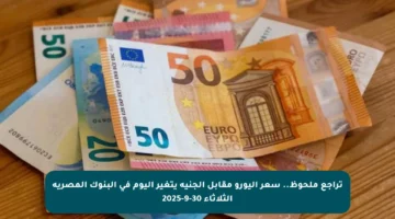 تراجع ملحوظ.. سعر اليورو مقابل الجنيه يتغير اليوم في البنوك المصرية الثلاثاء 30-9-2025